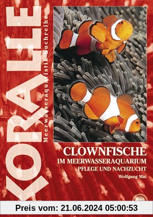 Clownfische im Meerwasseraquarium: Pflege und Nachzucht